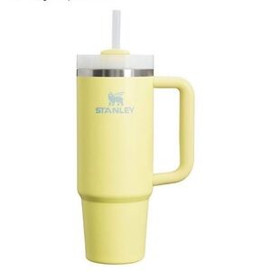 Stanley Pomelo Stainless Steel Mug